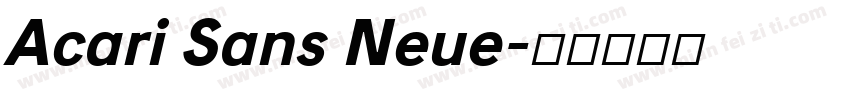 Acari Sans Neue字体转换